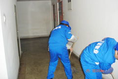 濮陽專業保潔服務指南 擦玻璃、清洗外墻與門頭價格及家庭保潔須知